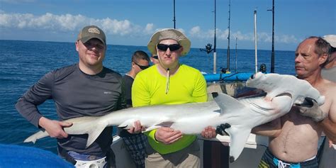 shark fishing trips daytona beach.